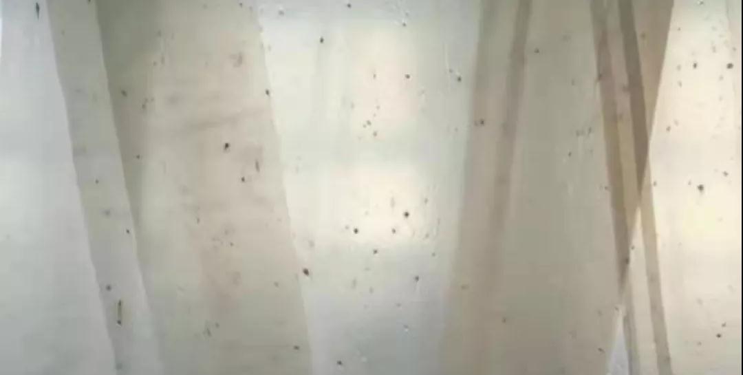 PBAT膜袋有黑點(diǎn)是什么原因？(圖1)